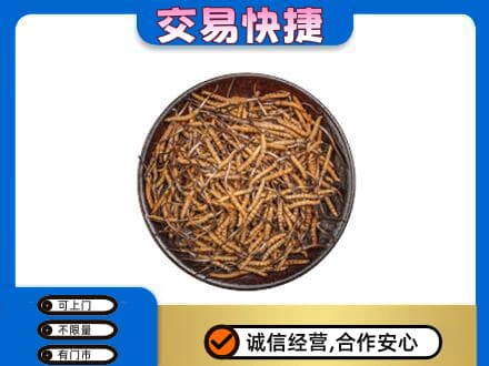 莱芜礼品回收虫草.jpg
